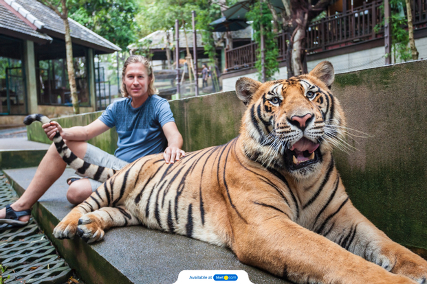 Tiket Phuket: Big Buddha, Elephant Bathing, and ATV Experience Day Tour ...