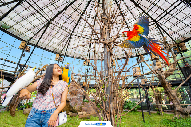 Lembang Park and Zoo - tiket.com Exclusive