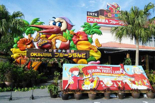 Okinawa Tropical Fruits Land PhE4wGEN