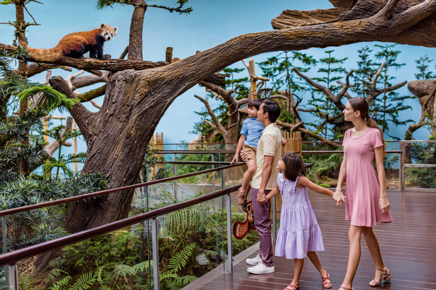3-in-1 Park Hopper: River Wonders + Singapore Zoo + Singapore Night Safari