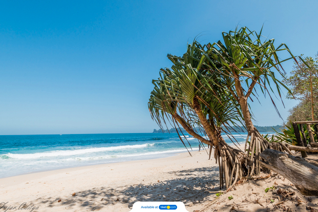 2 Days - Malang Beach Camping 4LZMBOOA