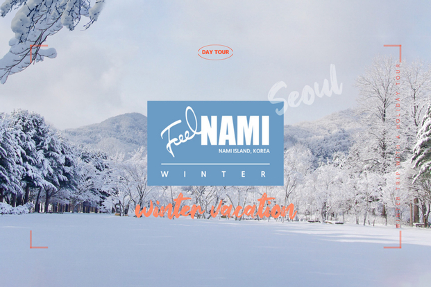 Nami Island, Petite France, Rail Bike, or Garden of Morning Calm Day Tour from Seoul