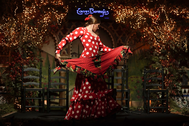 Flamenco Show at Tablao Torres Bermejas SoyINpNp