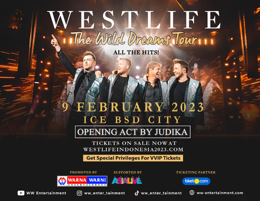 WESTLIFE THE WILD DREAMS TOUR ALL THE HITS