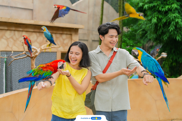 Tiket Jakarta Birdland Harga Promo - Tiket.com