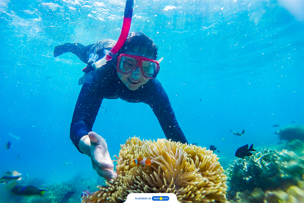 2D1N Private Trip Pulau Pari by GoExplore F8g6e8PY