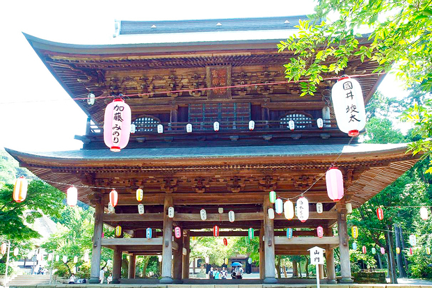 Kamakura Zen Temples and Gardens Private Trip with Government-Licens pJ6RR44f
