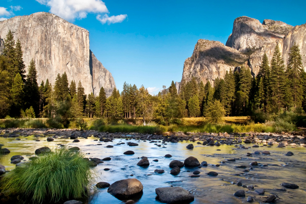 Yosemite Park and Giant Sequoia Day Tour from San Francisco 1f6wLir4