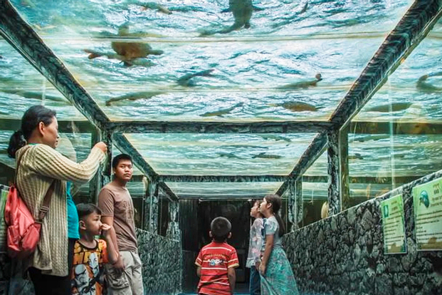 Monster Aquarium Pattaya Ticket 1yHv5Pvh