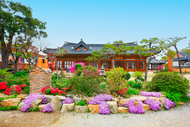 Tiket Gwangyang Plum Blossom (Maehwa) Festival & Jeonju Hanok Village ...