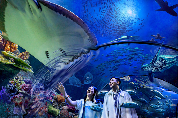 Sea World Ancol jcDtQpw4