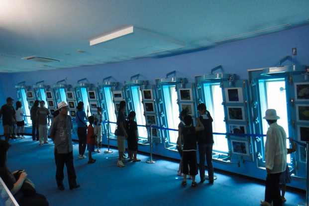 Okinawa Miyakojima Undersea Park hcKKIcvH