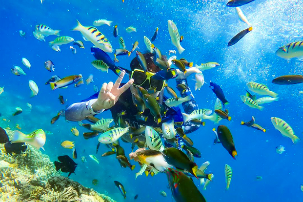 Snorkling Tabuha Menjangan PfsrfmBv