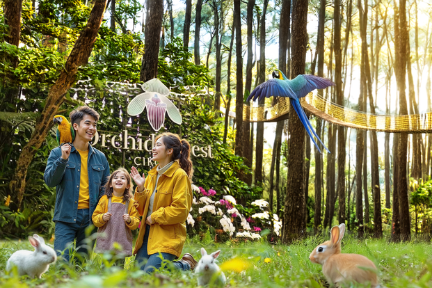 Orchid Forest Cikole eloDnAt6