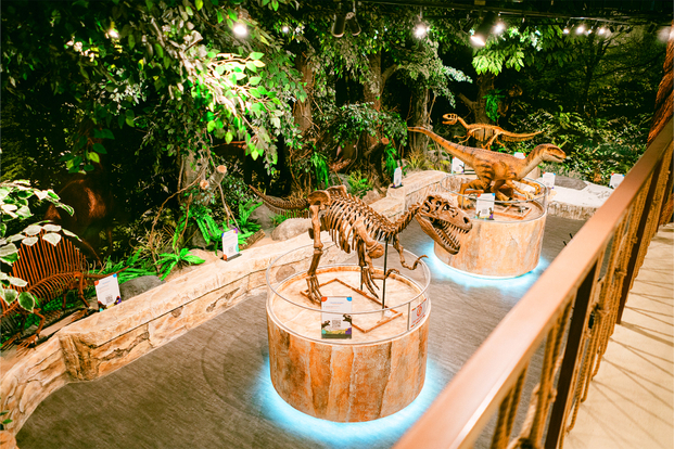 Funtasia by Minitopia 7wDQuLpG