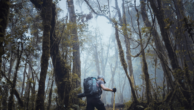 Gunung Cikuray Tour by Travel Buddies 5Y8rRN8g