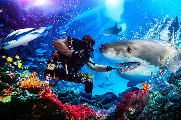 SEA LIFE Busan Aquarium Ticket RDmj9h7t