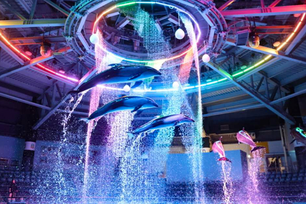 Tokyo Maxell Aqua Park Shinagawa ejln3LJ3