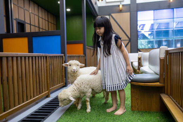 Animal.inc at Entertainment District PIK 2 LVFUQbAS