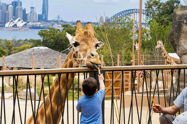 Taronga Zoo Sydney v7hR0S8D