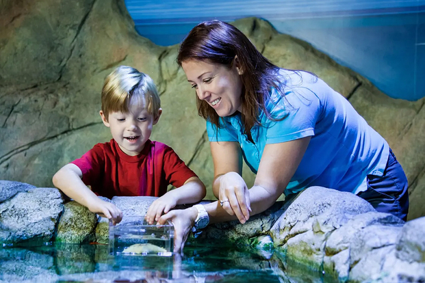 SEA LIFE Sydney Aquarium Ticket fbISCsZc