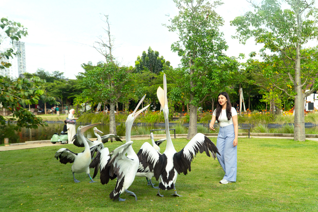 Aviary Park R6hyb0Xu