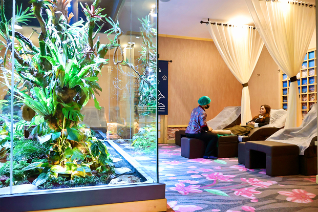 Kokuo Family Massage & Reflexology Sentul 03PJoTud