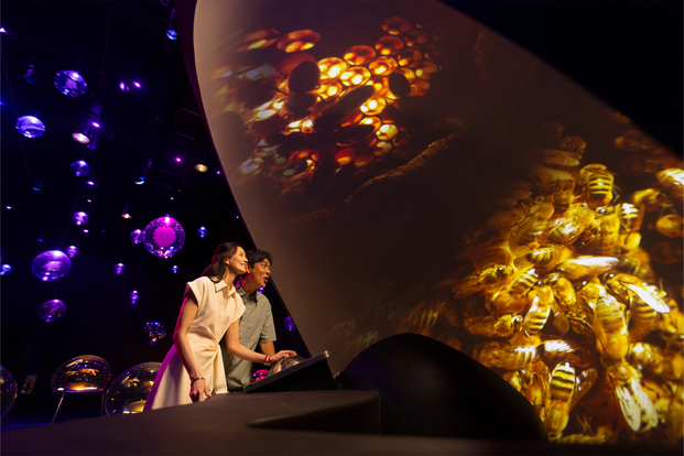 Exploria | Mandai Wildlife Reserve, Singapore jQMzn0sv