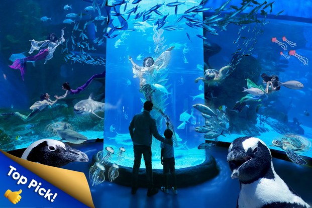 Jakarta AQuarium Safari onzs3Qno
