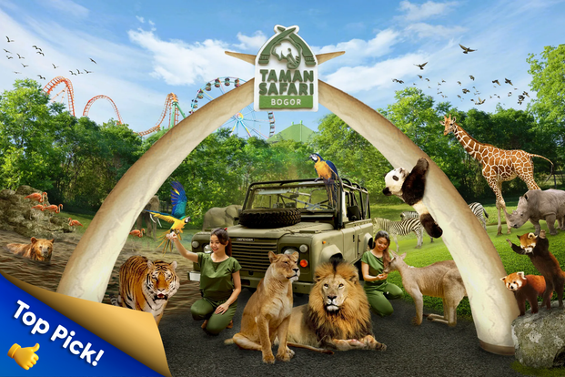 Taman Safari Indonesia Bogor cYXDu1zD