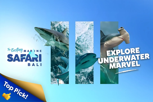 Marine Safari Bali U5YIqwQ6