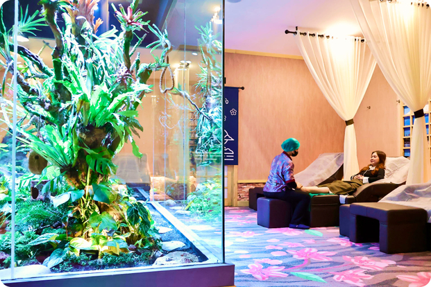 Kokuo Family Massage & Reflexology Sentul NW2Zp5UJ