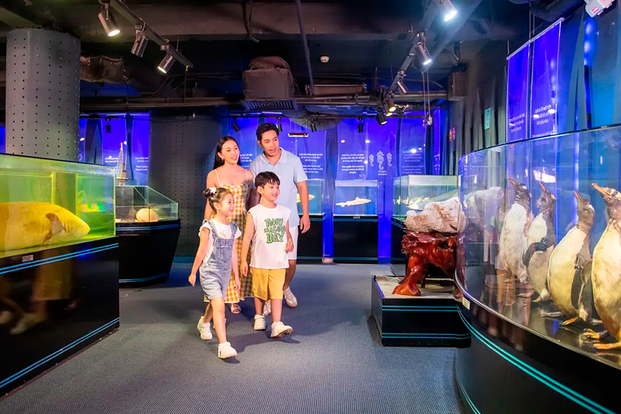 VinKE & Vinpearl Aquarium Ticket in Ha Noi Nl5bX5C1