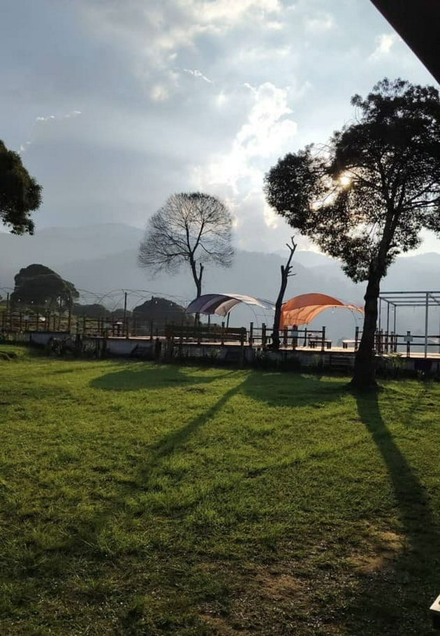 Exterior 4, Cozzy Camp WWS Pangalengan, Bandung
