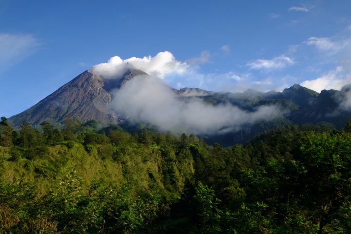 Sleman