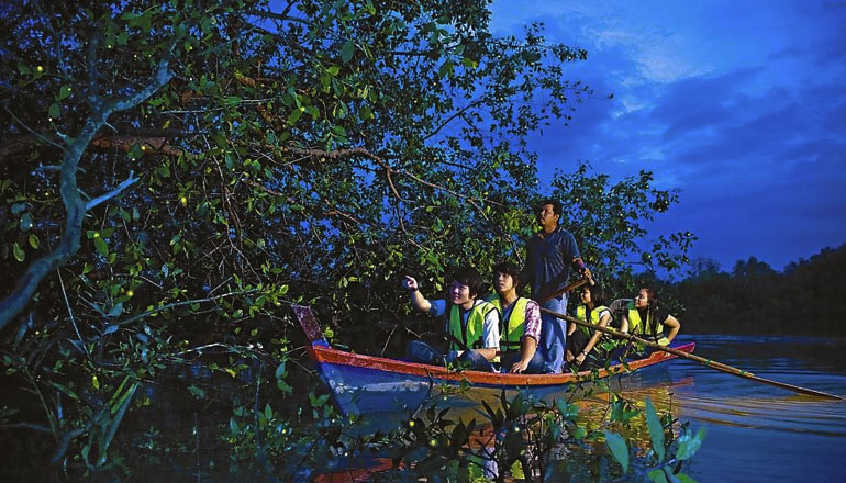 Kuala Selangor Fireflies Night Tour with Seafood Dinner and Boat Trip