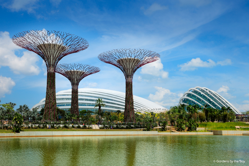 Tiket Gardens by The Bay Singapura Harga Promo Gledek 2022