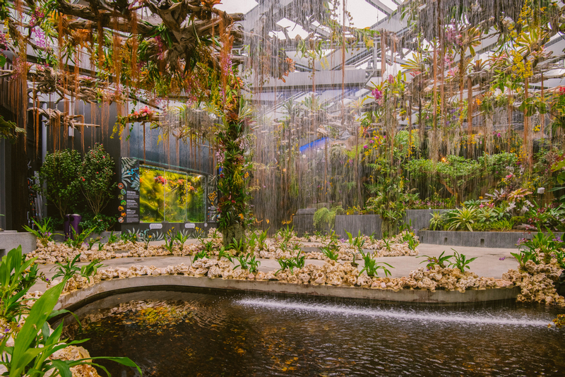 Tiket Gardens by The Bay Singapura Harga Promo Gledek 2022