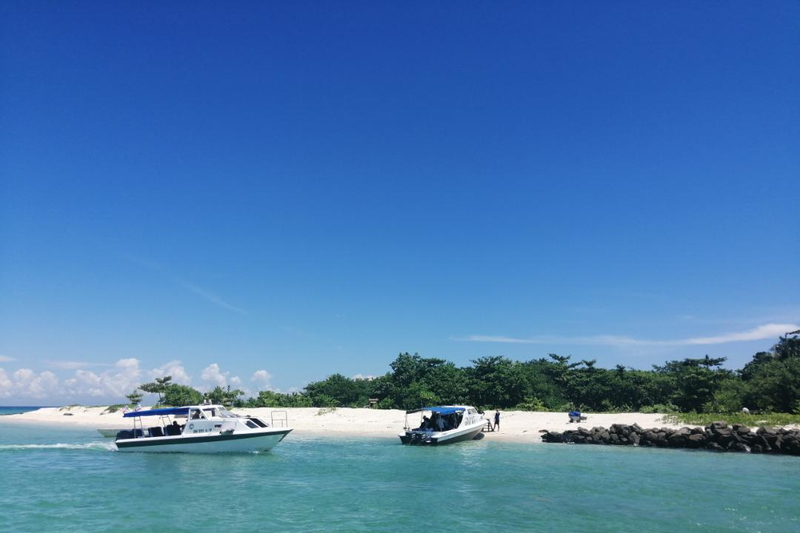 2D1N Selingan Turtle Island with Turtle Watching at Sandakan