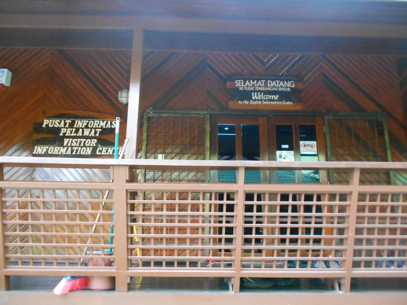 Sepilok Orang Utan Rehabilitation and Bornean Sunbear Conservation Centre Half Day Tour in Sandakan
