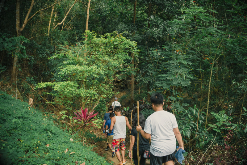 Mount Purro Nature Reserve Day Tour in Antipolo