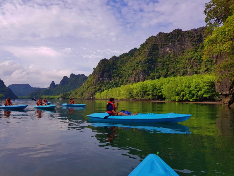 Mangrove Kayaking Tour with Transfers and Meal in Langkawi