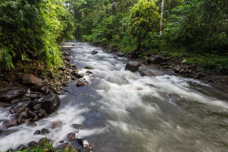 Puerto Princesa Balsahan River and Trail