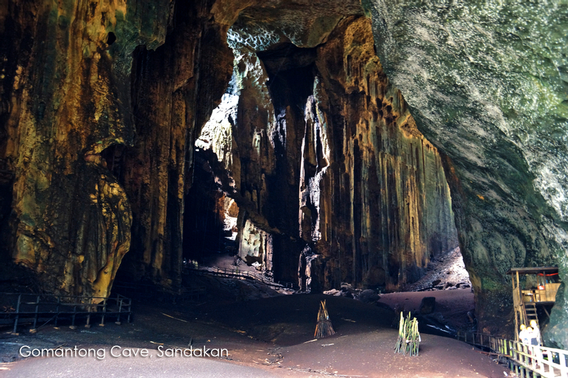 Gomantong Cave Bat Watching Day Tour with Dinner at Sandakan