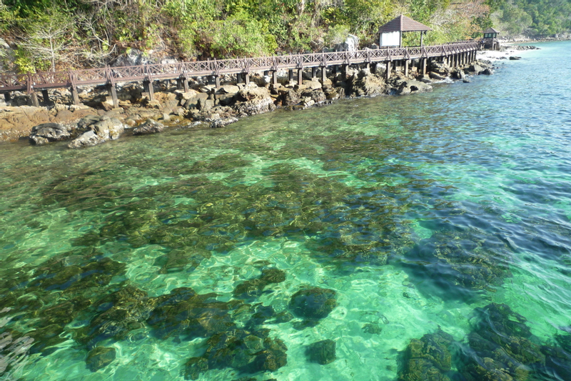Pengalaman Snorkeling di Taman Laut Pulau Payar