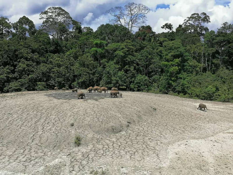 Tabin Wildlife Resort Fullboard Stay with Jungle Trekking