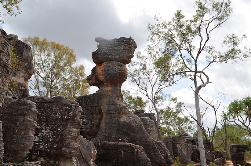 Litchfield National Park and Waterfalls Tour