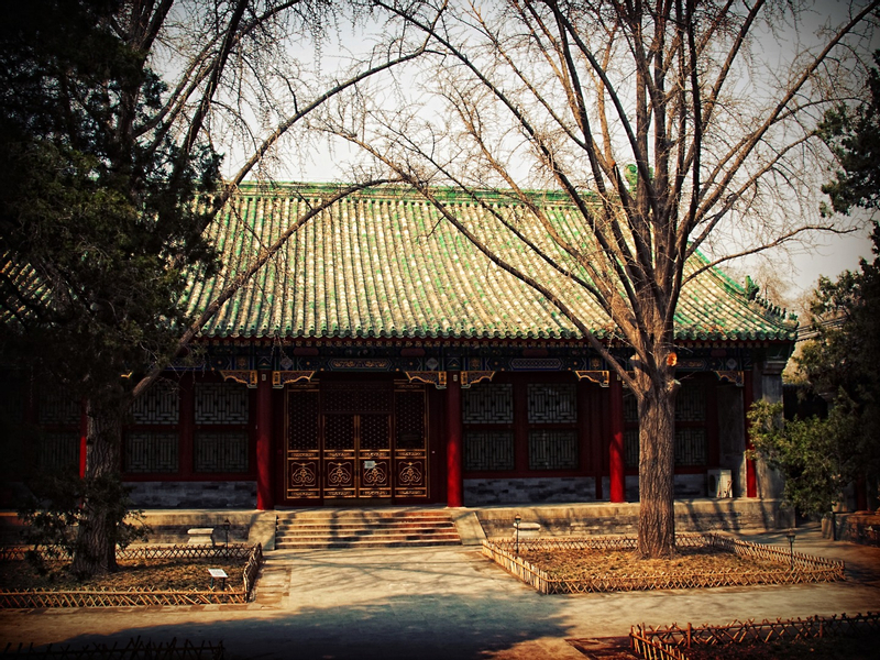 Beijing Alleys, Beihai Park, and Prince Gong's Mansion Private Day Tour