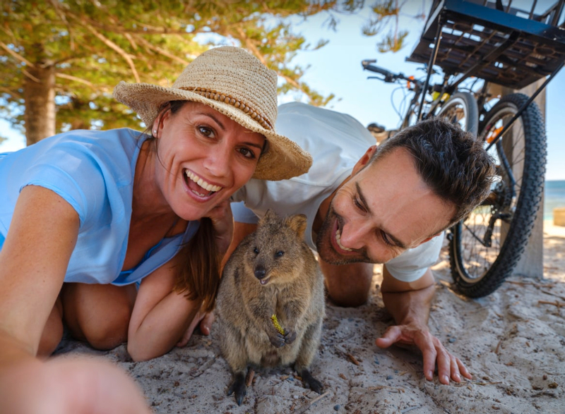 Rottnest Island Ferry, Bike, and Snorkel Experience from Perth