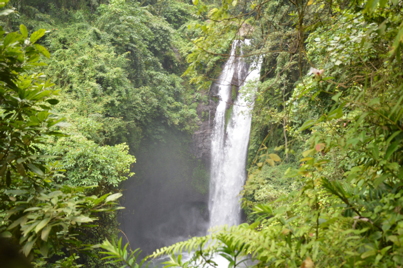 North Bali Waterfalls and Rice Field Trekking Day Tour
